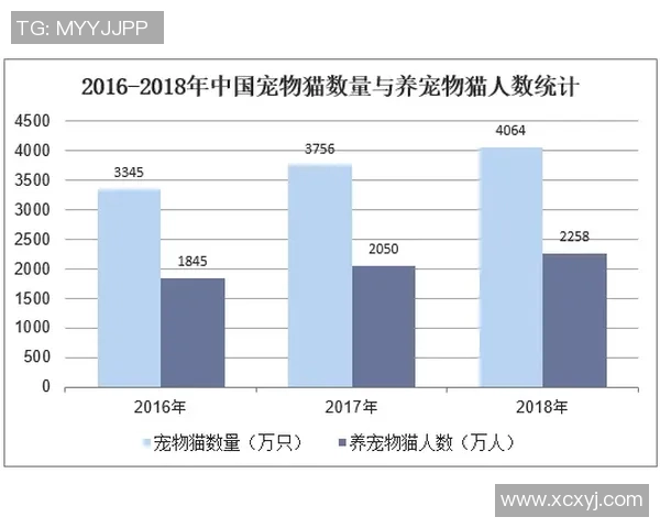足球明星卡价值评估与市场趋势分析方法探讨