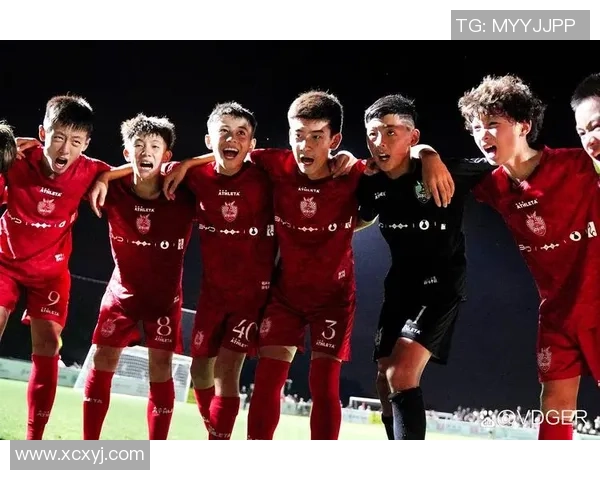 足球明星助力和平与民主的力量与影响力探讨