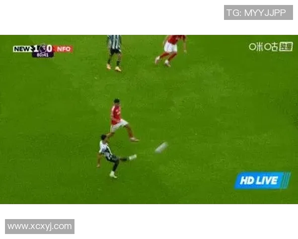 足球明星素材网助你轻松获取最新足球明星动态与精彩瞬间分享