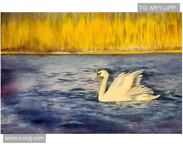 足球明星绘画教学视频带你轻松掌握绘画技巧与足球魅力的完美结合